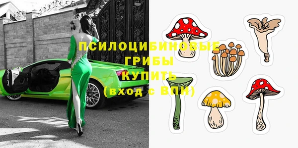 дживик Краснослободск