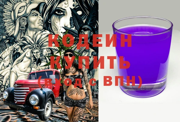 дживик Краснослободск
