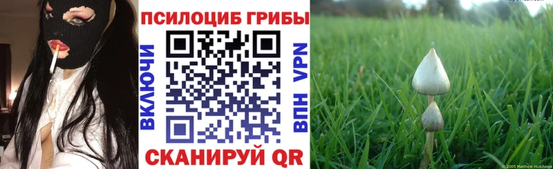 Псилоцибиновые грибы прущие грибы  цены наркотик  Черемхово 